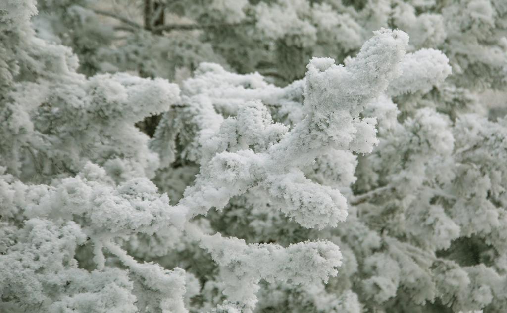 На выходных в Башкирии похолодает до -34°