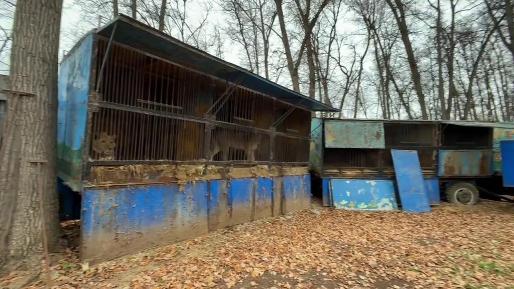 Приставы опечатали уфимский зоолунопарк «Саванна» на 30 суток