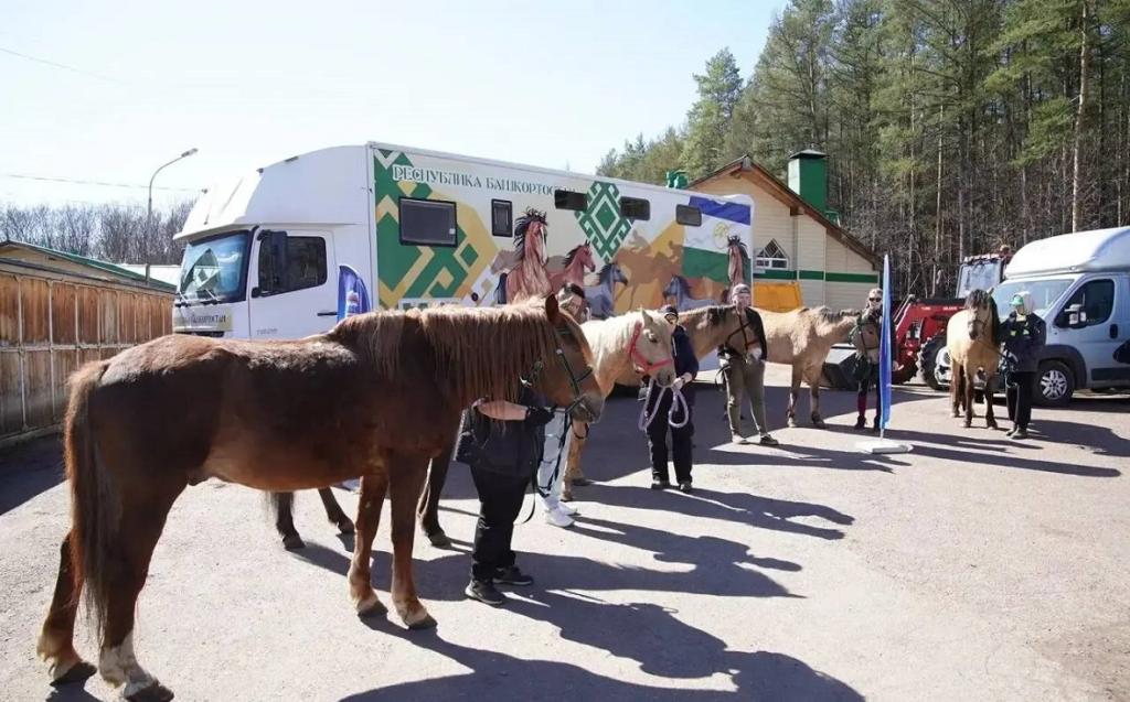Башкирия отправила в зону СВО десять лошадей
