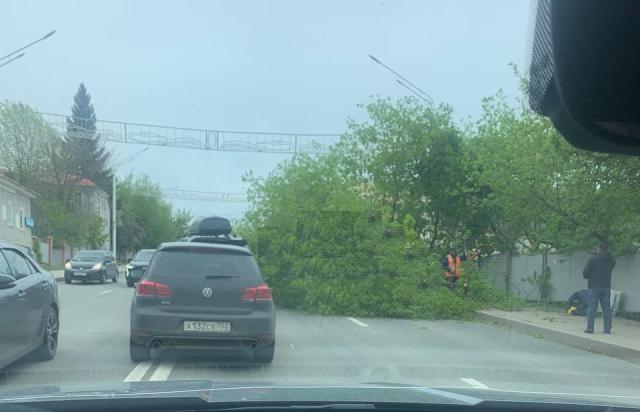 Упавшее дерево перегородило улицу Сочинскую в Уфе
