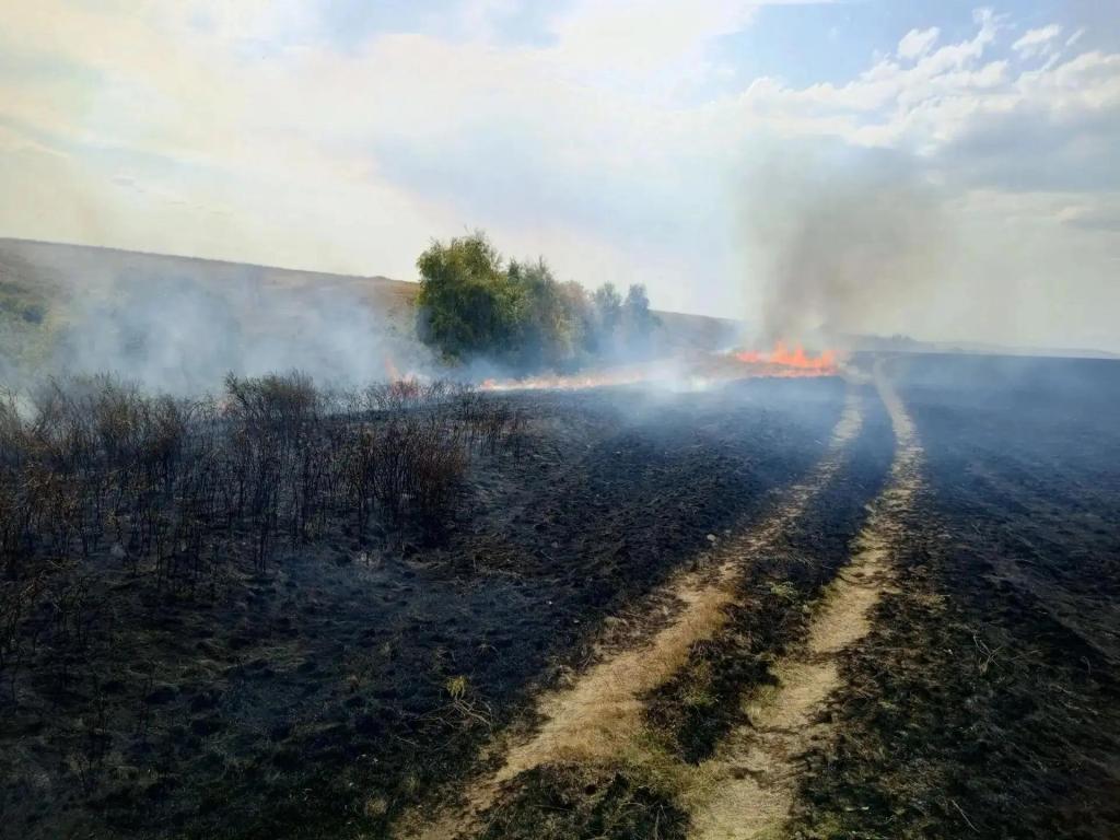 В Башкирии тушат пять лесных пожаров на площади более 53 га