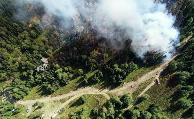 В Башкирии хотят уменьшить штрафы за нарушения пожарной безопасности леса