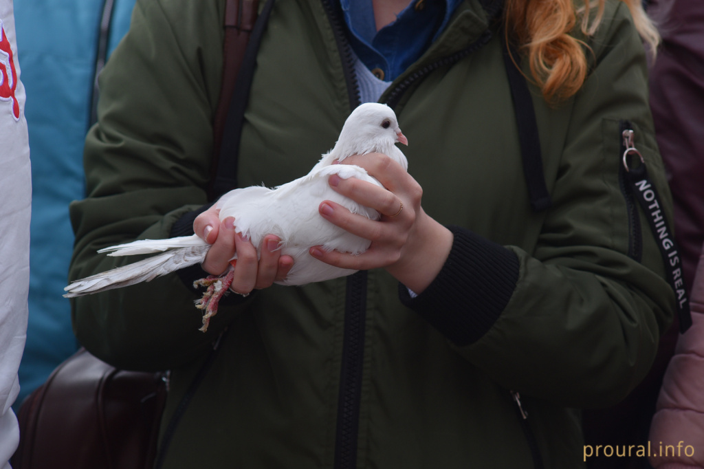 DSC_4757.jpg DSC_4757.jpg