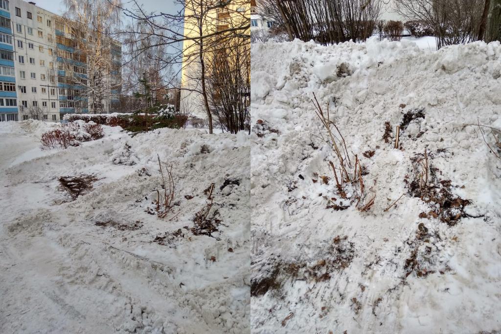 В Уфе снегоуборочная техника поломала кусты, за которыми ухаживали местные жители