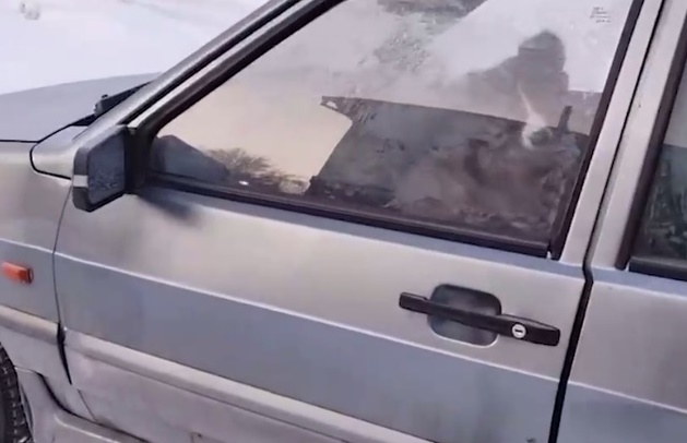 В Башкирии второй день в машине скулит запертый щенок