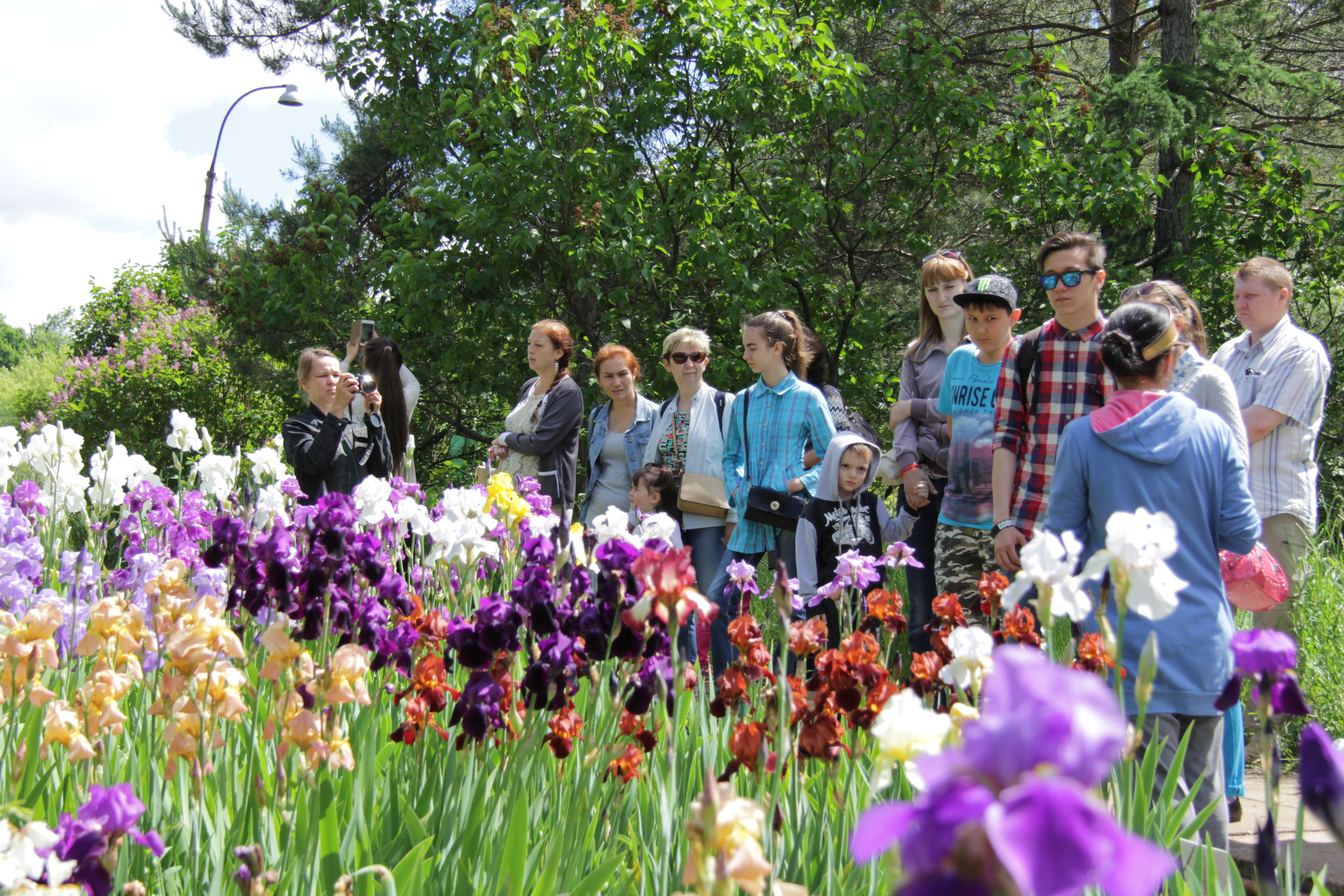 Время цветов: в Уфимском ботаническом саду распустили пионы и ирисы