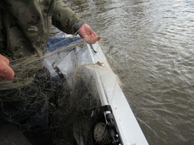 В Башкирии осудили браконьера, который поймал рыбу на 180 тысяч рублей