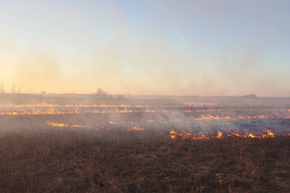 В Башкирии произошел первый ландшафтный пожар
