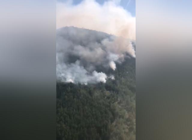 Площадь лесного пожара в Башкирии выросла до 40 гектаров