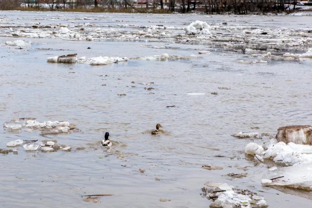 МЧС Башкирии приступили к взрывным работам льда на реке Белой