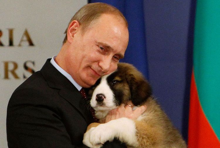 Владимир Путин подписал закон о гуманном обращении с животными