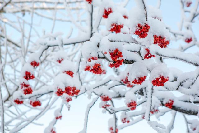 «Белый снег, пушистый»: Фотографии зимней Уфы