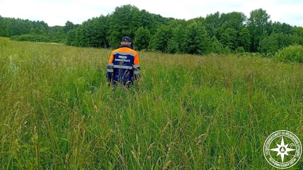 В Кумертау два дня искали пропавшую во время прогулки пенсионерку
