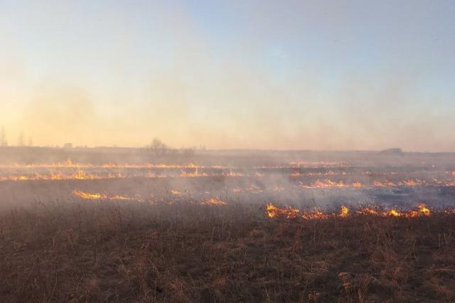 В Башкирии произошел первый ландшафтный пожар