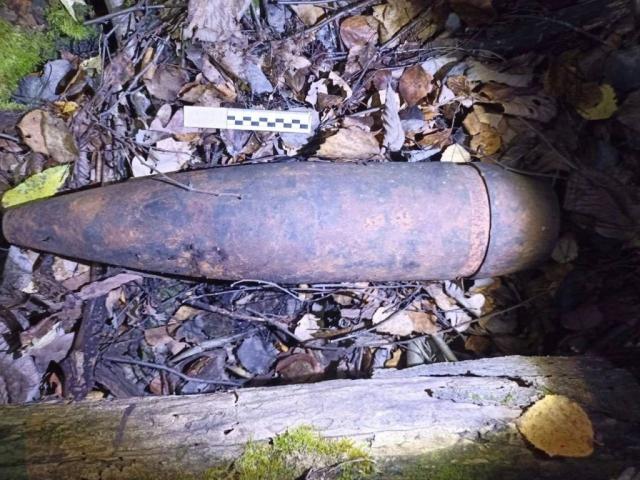Жительница Башкирии обнаружила в лесу артиллерийский снаряд