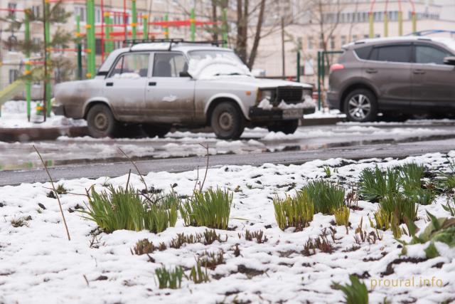 Синоптики Башкирии рассказали, какой будет погода в День народного единства