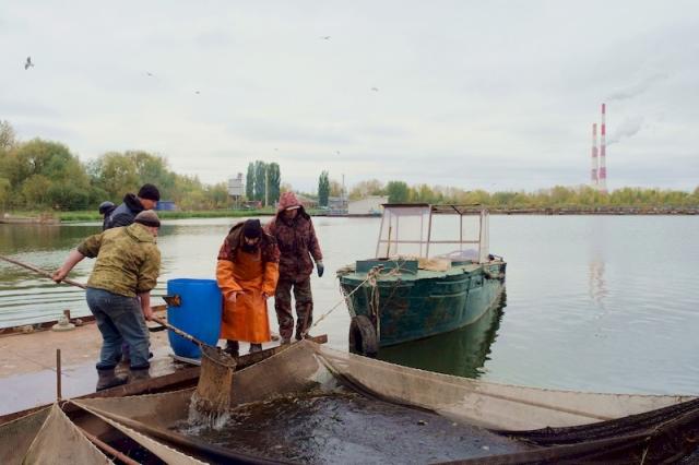 Энергетики Башкирии заселили в водохранилище рыб за 1,1 млн рублей