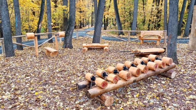 В уфимском лесу построили площадку с деревянной штангой и гантелями