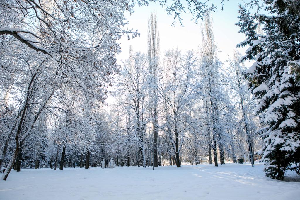 В Башкирии ожидается похолодание до -20 градусов