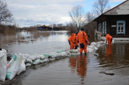 Паводок в Башкирии: в Чекмагушевском районе затопило огороды