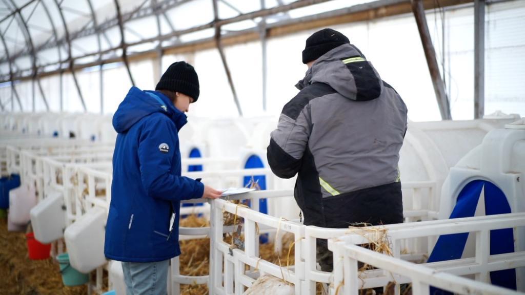 Молодым специалистам АПК в Башкирии выделят по 750 тыс. рублей «подъемных»