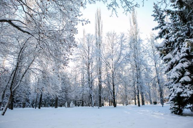 В Башкирии ожидается туман и морозы