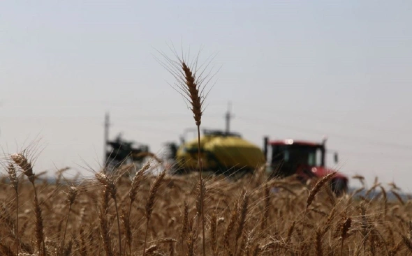 В Башкирии средняя урожайность зерновых упала на 9%