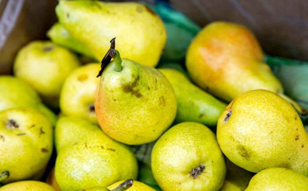 Импорт овощей и фруктов в Башкирию почти восстановился до уровня 2022 года