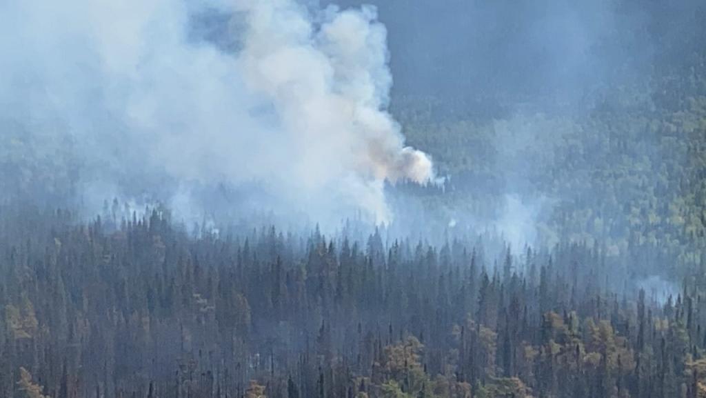 На юге Башкирии вспыхнул лесной пожар