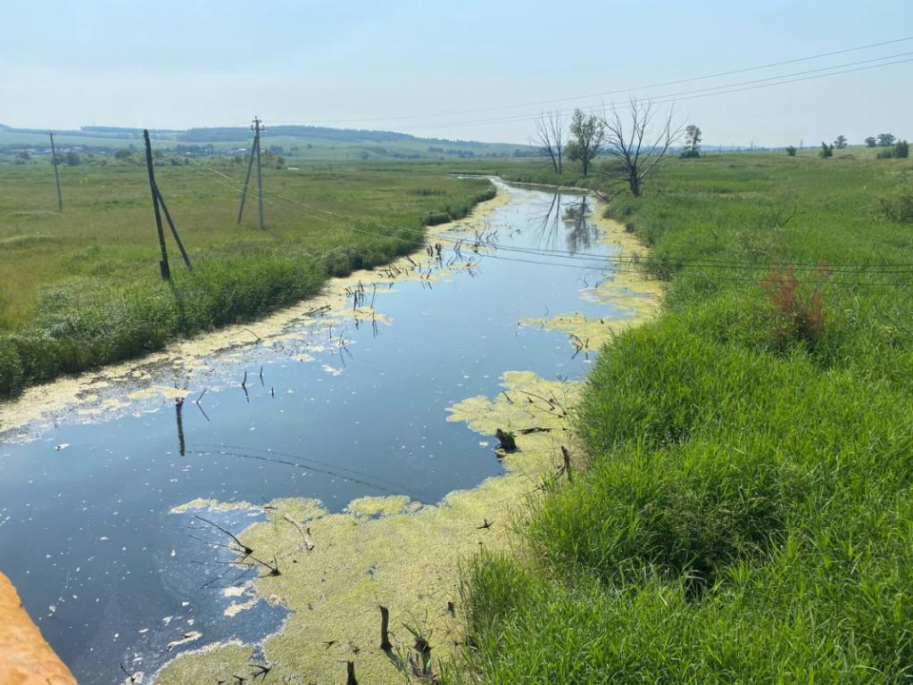 Общественники Башкирии попросили Росприроднадзор разобраться с загрязнением реки Узень
