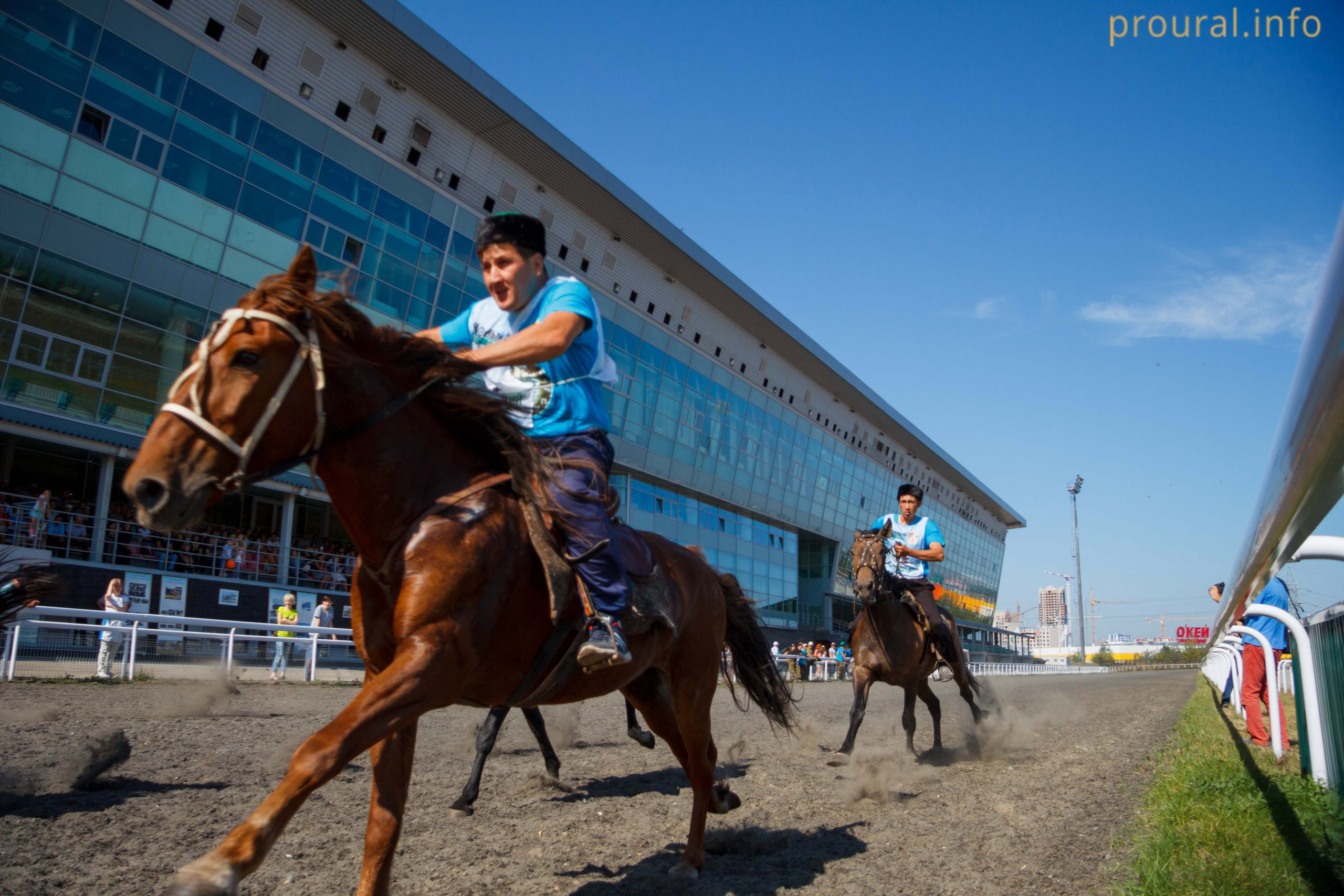 Самые грациозные и сильные лошади республики: фоторепортаж с конного фестиваля в Уфе