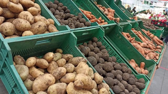 В Башкирии садоводам будут платить за выращивание картошки и овощей