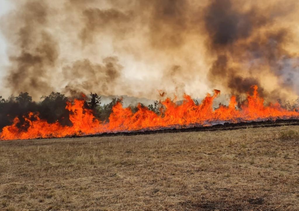 Пожары на юге Башкирии в фоторепортаже Proural