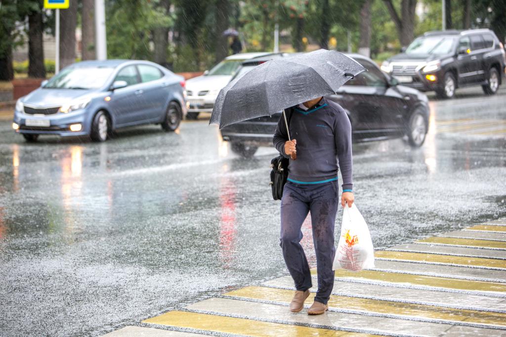 В Башкирии обещают дождливые выходные