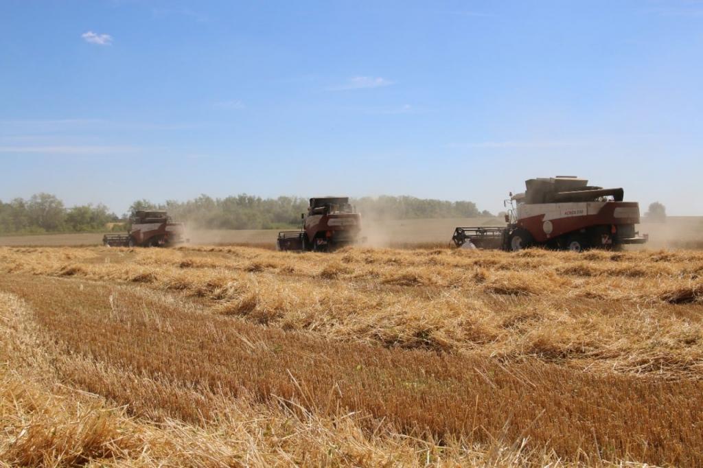 Аграрии Башкирии удвоили экспорт зерна