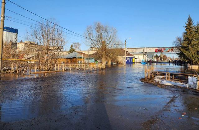 В Башкирии из-за подъема уровня рек подтопило несколько домов