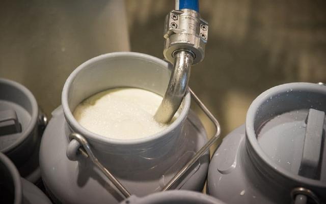 Экс-директора маслозавода в Башкирии обвиняют в подмене молока на 3 млн рублей