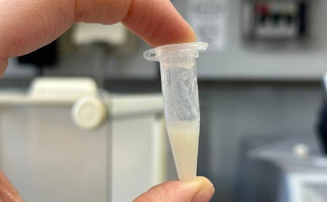 Уфимские ученые заявили об изобретении биочернил для 3D-печати органов