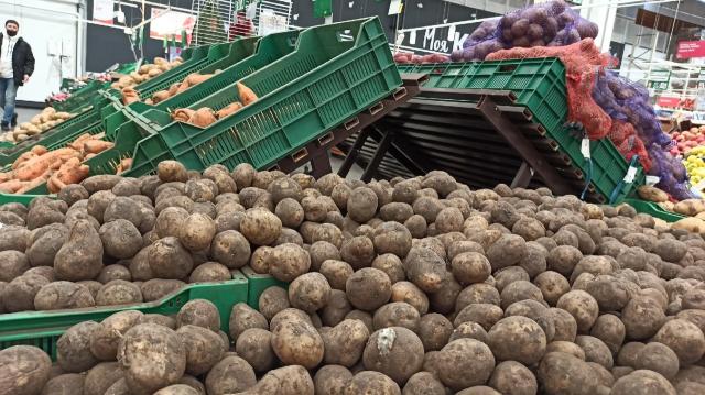 Жителям Башкирии предоставят субсидии на выращивание картофеля и овощей