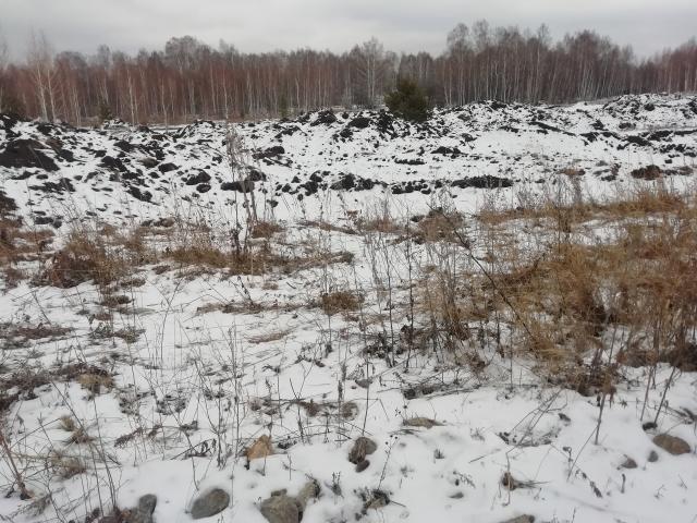 В Башкирии золотодобытчики уничтожила плодородный слой почвы