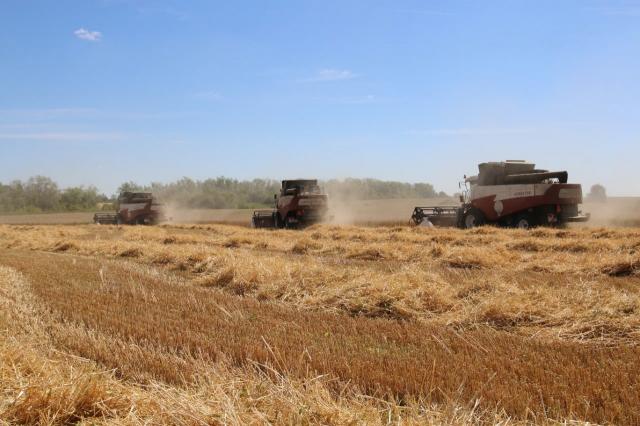 С полей Башкирии собрали 2,1 млн тонн зерна