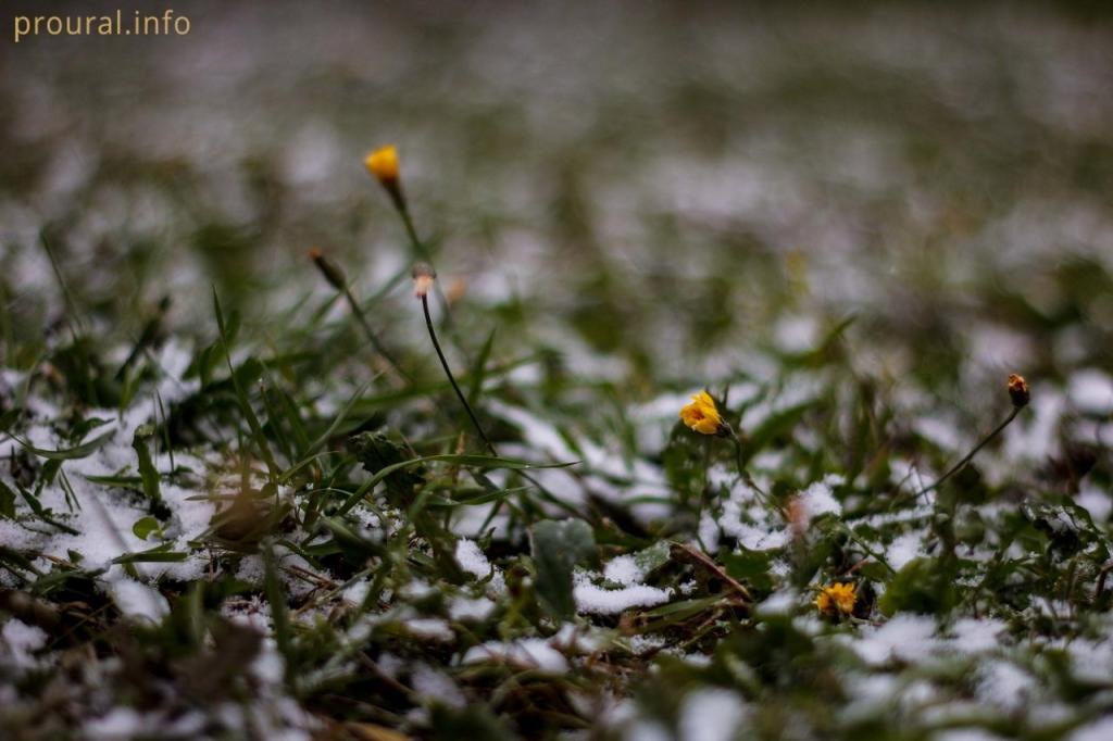 Дождь, мокрый снег и ветер: синоптики дали прогноз погоды в Башкирии