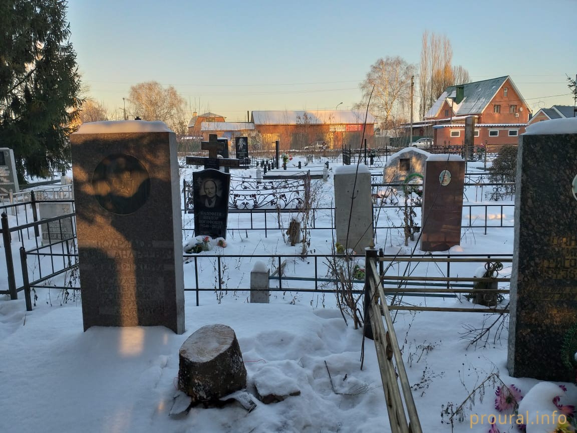 В Стерлитамаке ёлку для ледового городка привезли с могилы известного архитектора
