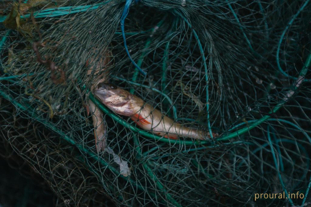 На реке Белой впервые в этом году во время запрета на рыбалку поймали браконьеров