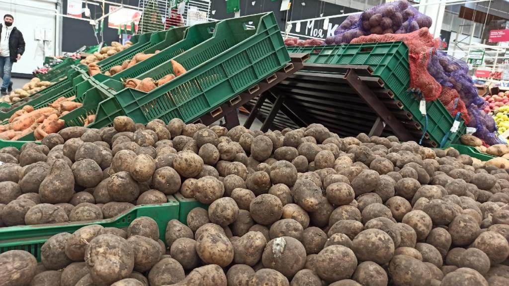 В 2022 году больше россиян будет сажать картошку