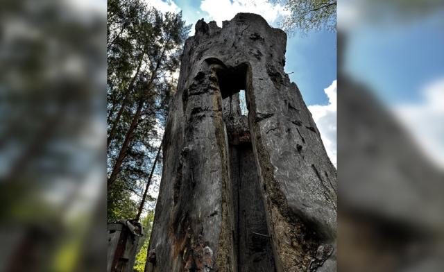 Башкирское пчеловодство могут включить в список всемирного аграрного наследия Башкирское пчеловодство могут включить в список всемирного аграрного наследия