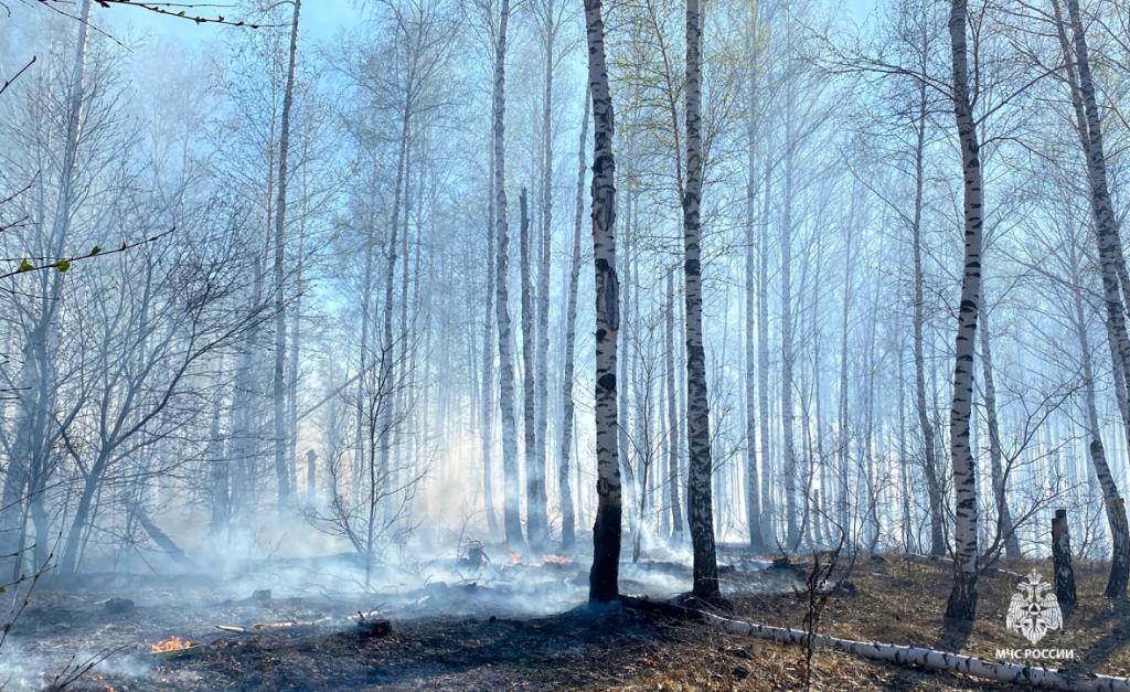 На юге Башкирии горит лес на площади 14 га