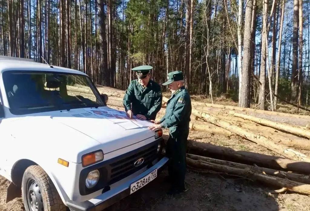 В Башкирии с начала года произошло 14 лесных пожаров
