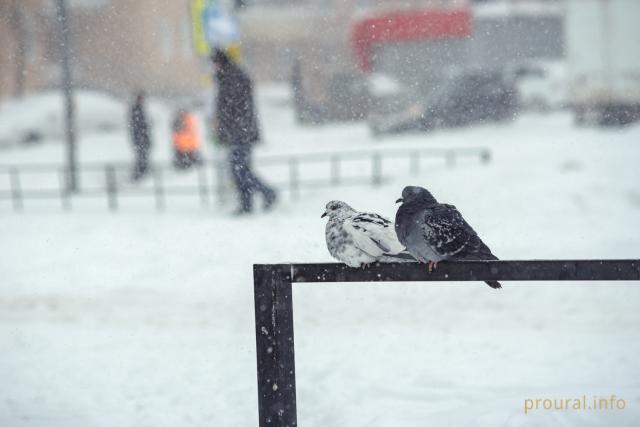 Синоптики: на Башкирию обрушится сильный снегопад