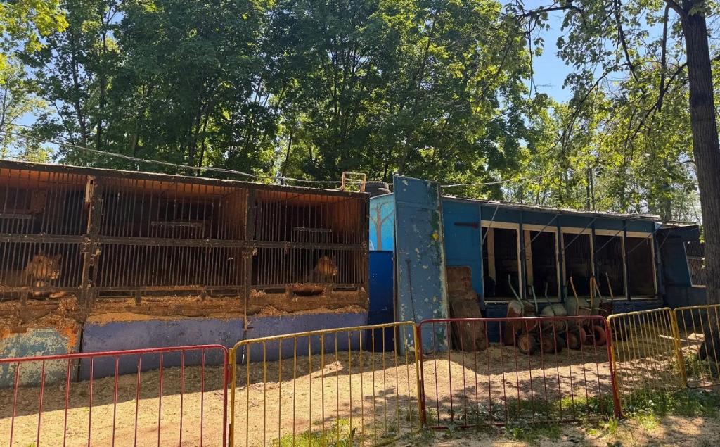 Уголовное дело владельцев зверинца «Саванна» в Уфе дошло до суда